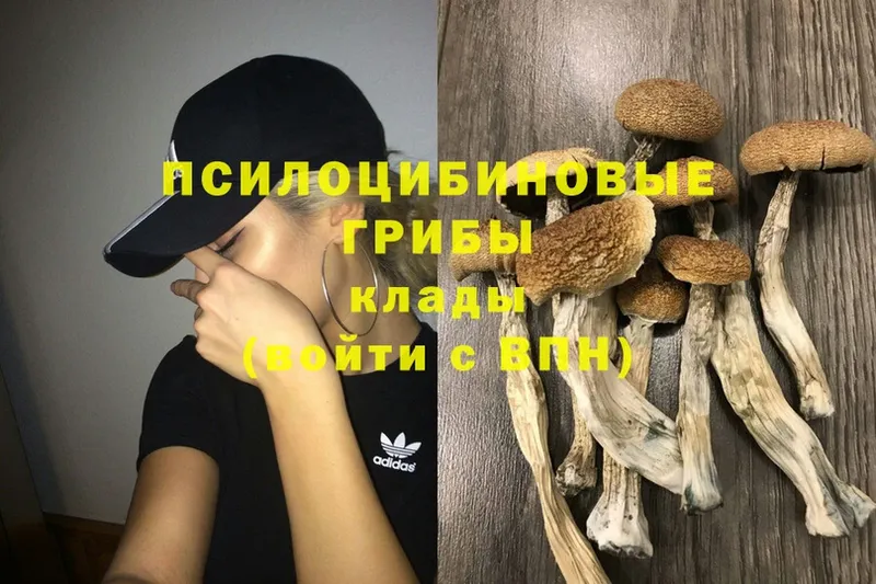 Псилоцибиновые грибы Psilocybine cubensis  МЕГА зеркало  Адыгейск 